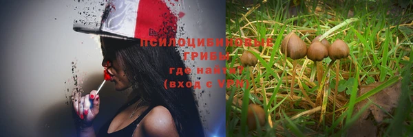 мет Алзамай