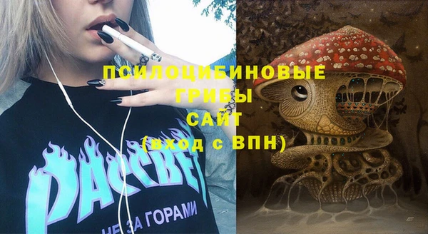 шишки Алексин